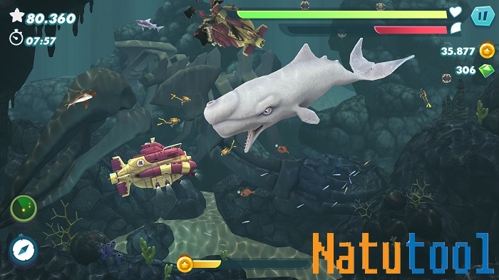 hungry-shark-evolution-mod-bat-tu